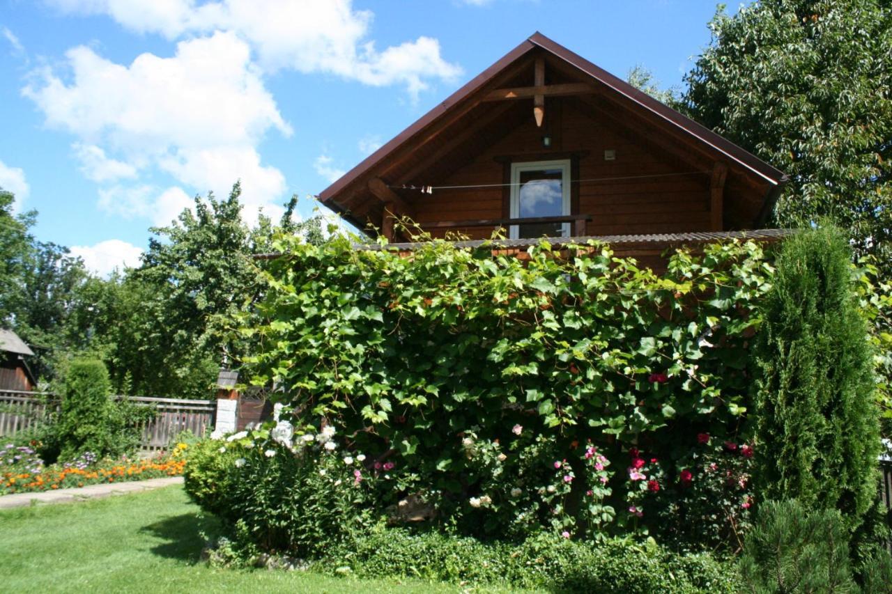 Krokus House Verkhovyna Exterior photo
